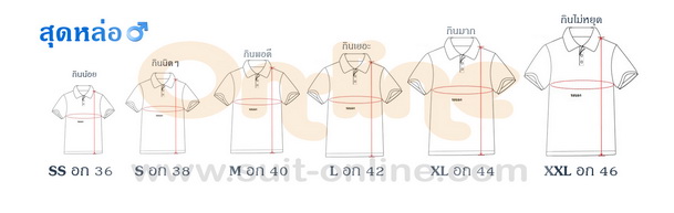 SIZE ONLINE M resize